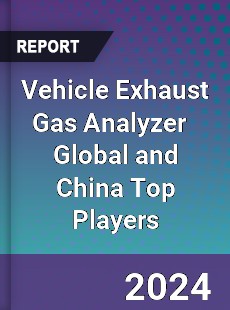 Vehicle Exhaust Gas Analyzer Global and China Top Players Market