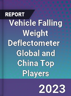 Vehicle Falling Weight Deflectometer Global and China Top Players Market