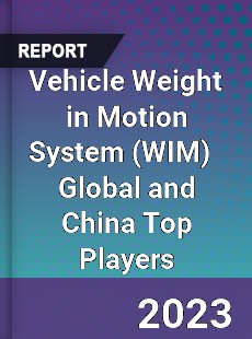 Vehicle Weight in Motion System Global and China Top Players Market