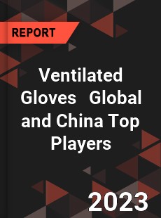 Ventilated Gloves Global and China Top Players Market