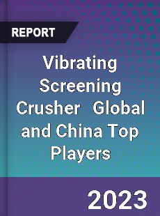 Vibrating Screening Crusher Global and China Top Players Market