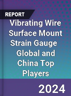 Vibrating Wire Surface Mount Strain Gauge Global and China Top Players Market