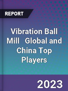 Vibration Ball Mill Global and China Top Players Market