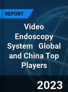 Video Endoscopy System Global and China Top Players Market