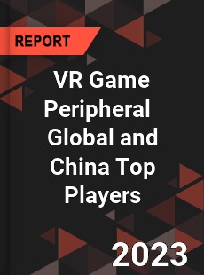 VR Game Peripheral Global and China Top Players Market