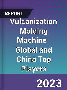 Vulcanization Molding Machine Global and China Top Players Market