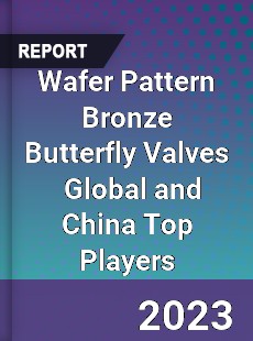 Wafer Pattern Bronze Butterfly Valves Global and China Top Players Market