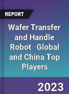 Wafer Transfer and Handle Robot Global and China Top Players Market