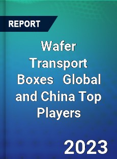 Wafer Transport Boxes Global and China Top Players Market