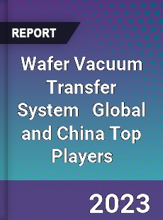 Wafer Vacuum Transfer System Global and China Top Players Market