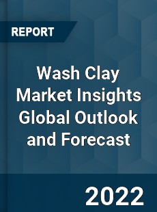 Wash Clay Market Insights Global Outlook and Forecast