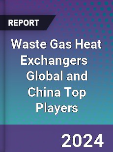 Waste Gas Heat Exchangers Global and China Top Players Market