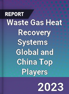 Waste Gas Heat Recovery Systems Global and China Top Players Market