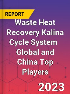 Waste Heat Recovery Kalina Cycle System Global and China Top Players Market