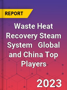 Waste Heat Recovery Steam System Global and China Top Players Market