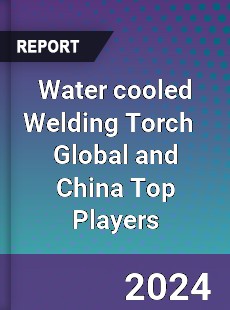 Water cooled Welding Torch Global and China Top Players Market