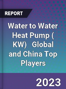 Water to Water Heat Pump Global and China Top Players Market