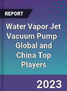 Water Vapor Jet Vacuum Pump Global and China Top Players Market