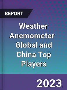 Weather Anemometer Global and China Top Players Market