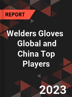 Welders Gloves Global and China Top Players Market