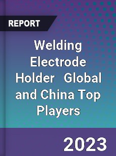 Welding Electrode Holder Global and China Top Players Market