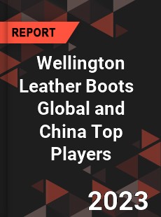 Wellington Leather Boots Global and China Top Players Market