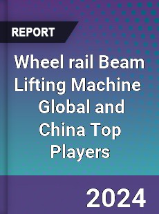 Wheel rail Beam Lifting Machine Global and China Top Players Market