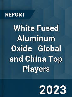 White Fused Aluminum Oxide Global and China Top Players Market