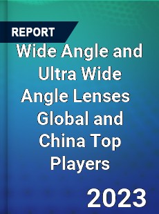 Wide Angle and Ultra Wide Angle Lenses Global and China Top Players Market