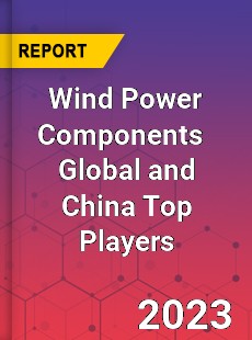 Wind Power Components Global and China Top Players Market