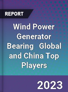 Wind Power Generator Bearing Global and China Top Players Market