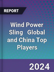 Wind Power Sling Global and China Top Players Market