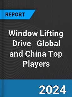 Window Lifting Drive Global and China Top Players Market