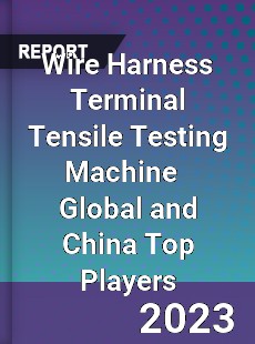 Wire Harness Terminal Tensile Testing Machine Global and China Top Players Market