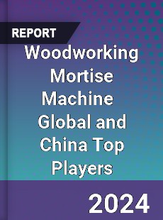 Woodworking Mortise Machine Global and China Top Players Market