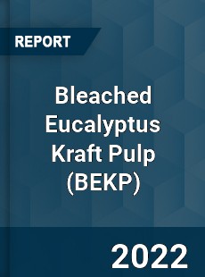 Worldwide Bleached Eucalyptus Kraft Pulp Market