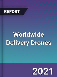 Worldwide Delivery Drones Market