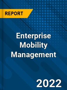 Worldwide Enterprise Mobility Management Market