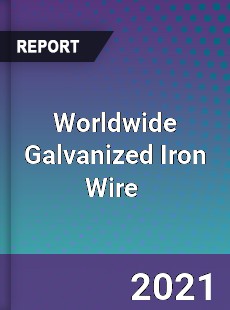 Worldwide Galvanized Iron Wire Market