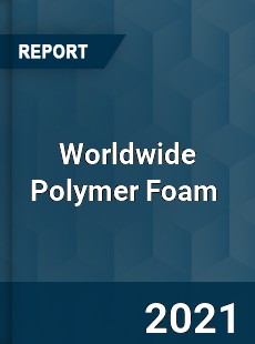 Worldwide Polymer Foam Market