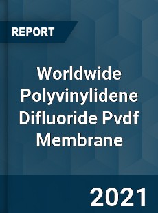 Worldwide Polyvinylidene Difluoride Pvdf Membrane Market