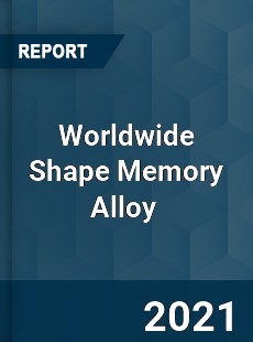 Worldwide Shape Memory Alloy Market