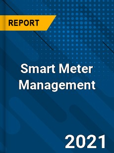 Worldwide Smart Meter Management Market