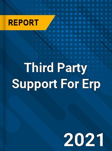 Worldwide Third Party Support For Erp Market