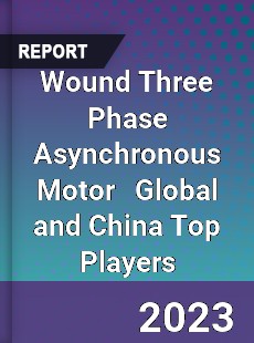 Wound Three Phase Asynchronous Motor Global and China Top Players Market