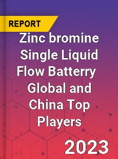 Zinc bromine Single Liquid Flow Batterry Global and China Top Players Market