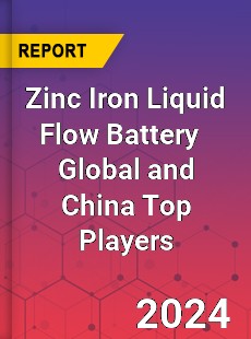 Zinc Iron Liquid Flow Battery Global and China Top Players Market