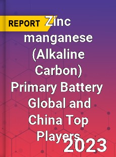 Zinc manganese Primary Battery Global and China Top Players Market